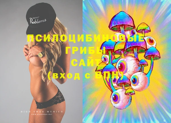 мяу мяу мука Абаза