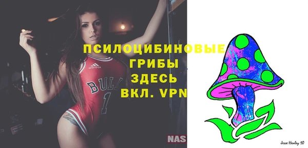 стафф Абдулино
