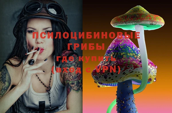 мяу мяу мука Абаза