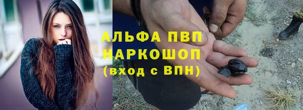 мяу мяу мука Абаза