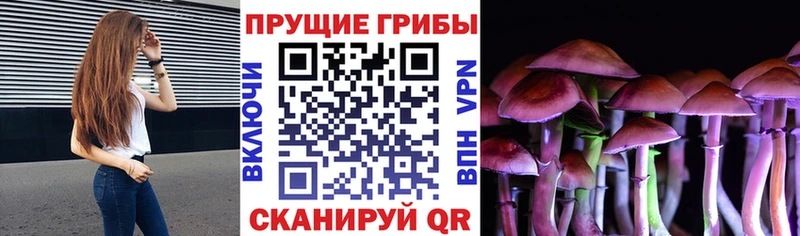 Галлюциногенные грибы Psilocybine cubensis  Гагарин 